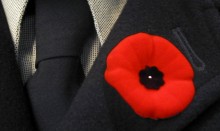 Poppy on black suit lapel