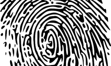 fingerprint-150159_640